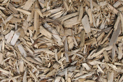 biomass boilers Caldecott